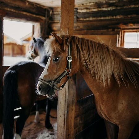 Chalet Lerch 상트조한임퐁가우 외부 사진